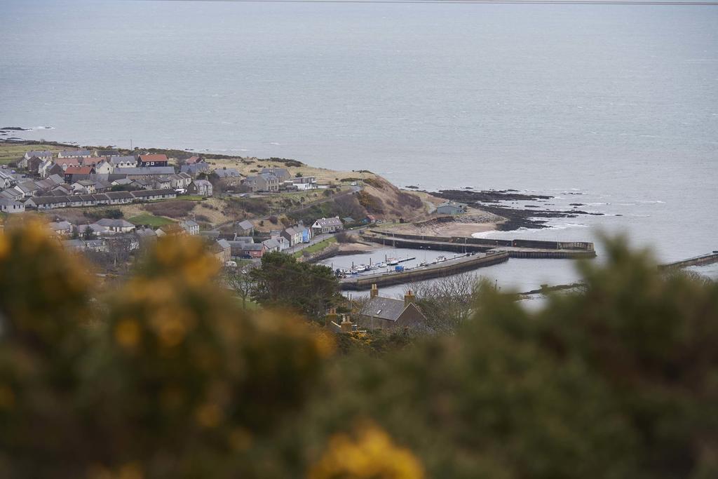 Piper'S Cave Bed And Breakfast Helmsdale Eksteriør billede